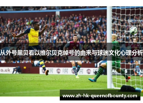从外号黑贝看以维尔贝克绰号的由来与球迷文化心理分析