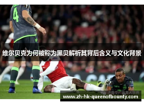 维尔贝克为何被称为黑贝解析其背后含义与文化背景