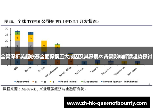 全景深析英超联赛全面停摆五大成因及其深层次背景影响解读趋势探讨